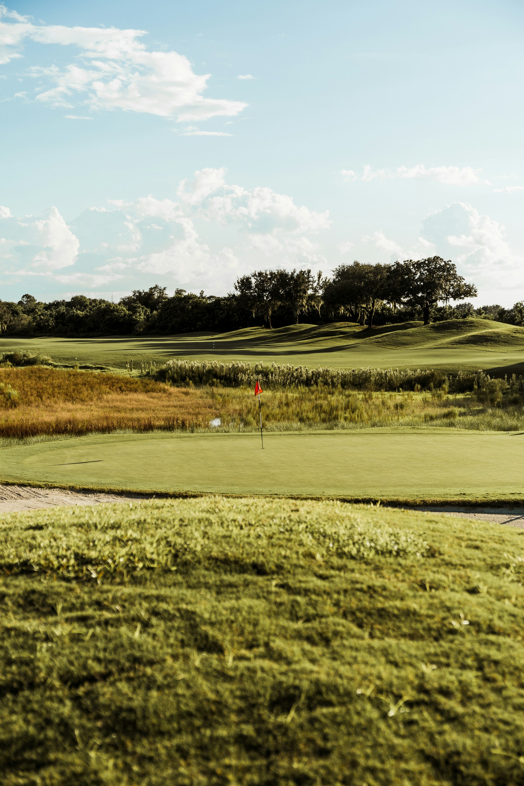 A green with a red flag on a public course